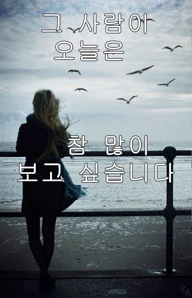 오늘은 참 보고 싶습니다