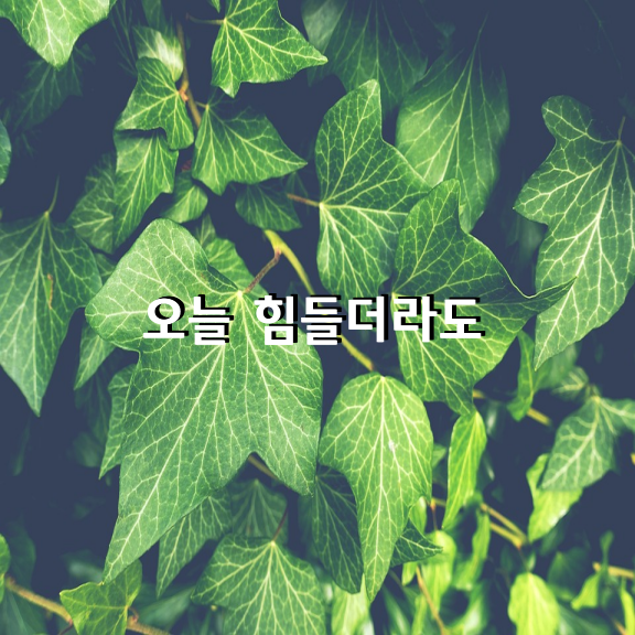 오늘을 견뎌내는 것