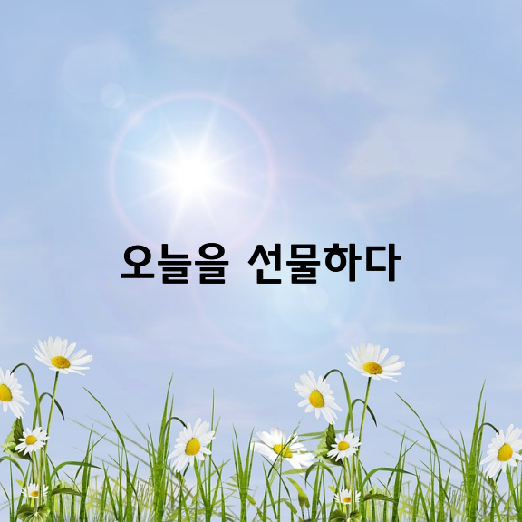 오늘을 선물하다