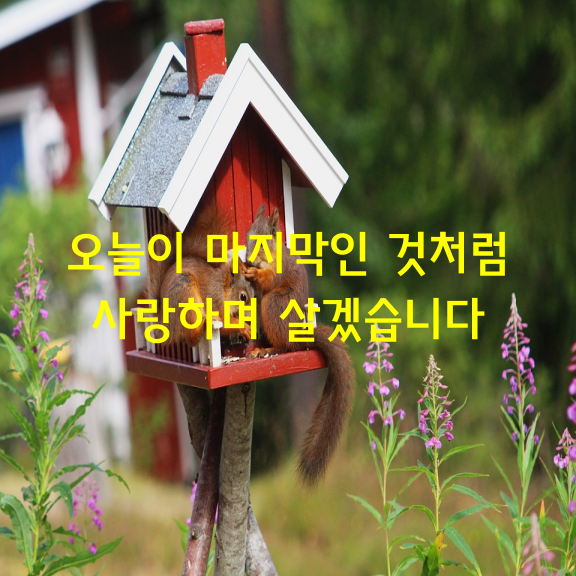 오늘이 아내와 만난지 4341일인데,