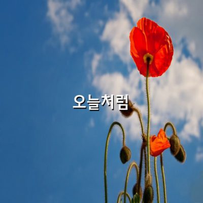 오늘처럼 / 이성구