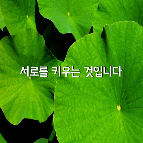 올바로 나이 든다는 건