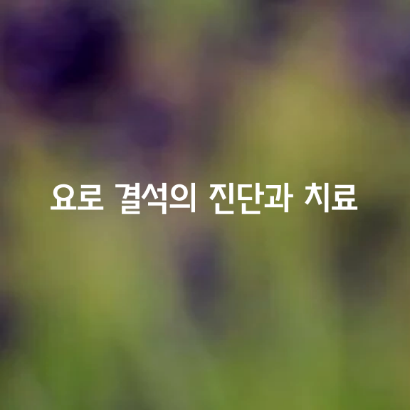 요로 결석의 진단과 치료