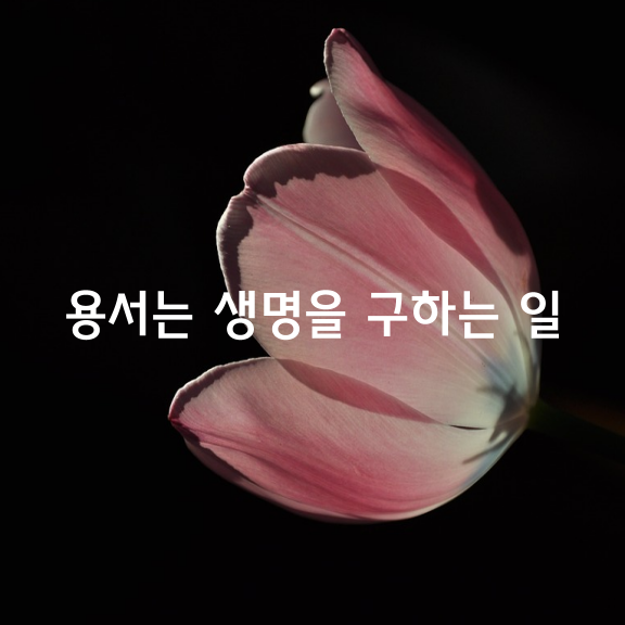 용서는 생명을 구하는 일