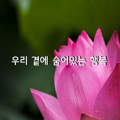 우리 곁에 숨어있는 행복