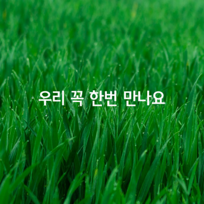 우리 꼭 한번 만나요