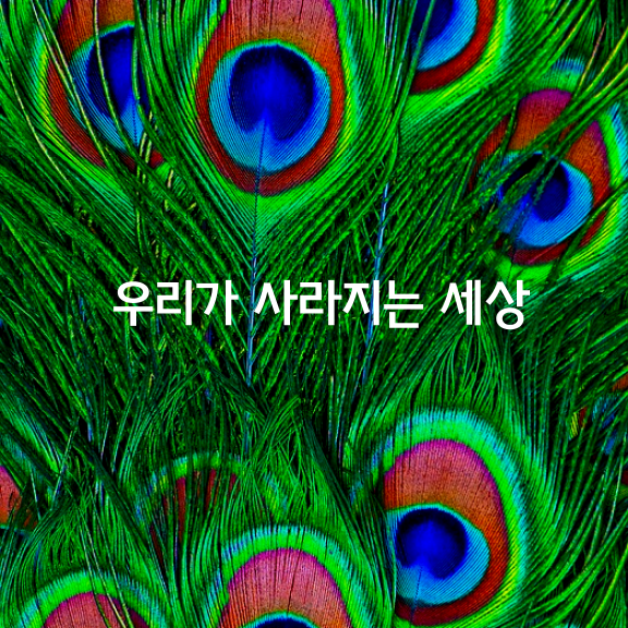 ‘우리’가 사라지는 세상