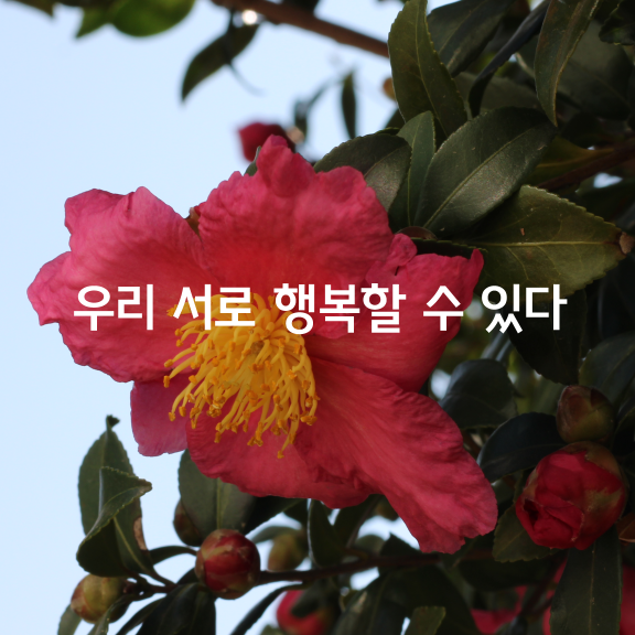 우리가 서로 행복할 수 있다