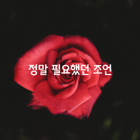 우리에게 정말 필요했던 조언