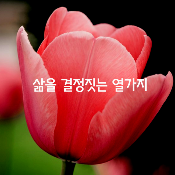 우리의 삶을 결정짓는 열가지