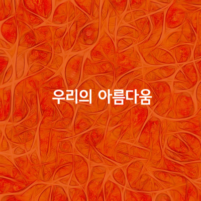 우리의 아름다움