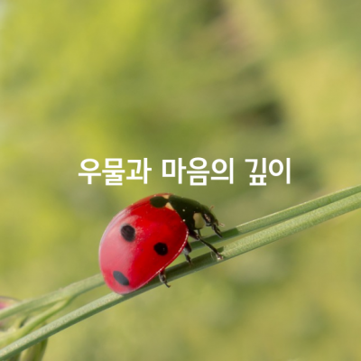 우물과 마음의 깊이