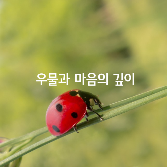 우물과 마음의 깊이