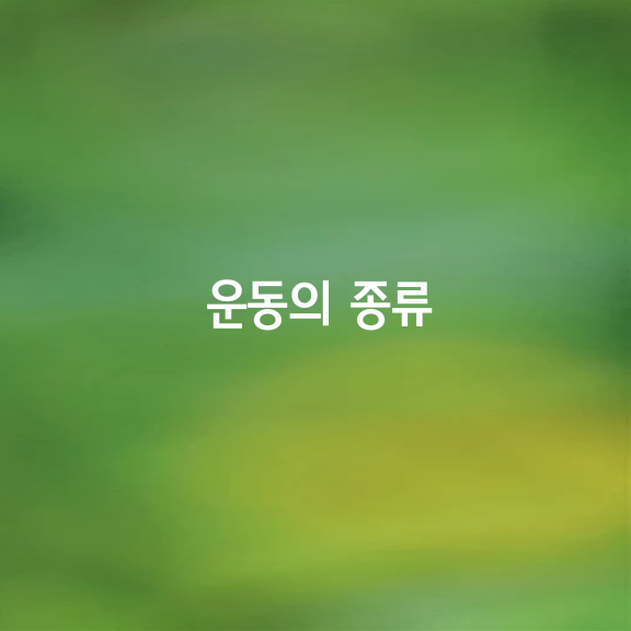 운동의 종류