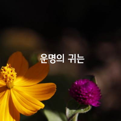 운명의 귀는 내 말을 듣고 있습니다