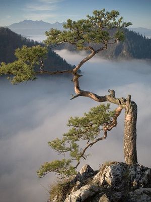 웃으면서 사는 것이다