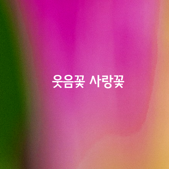 웃음꽃 사랑꽃