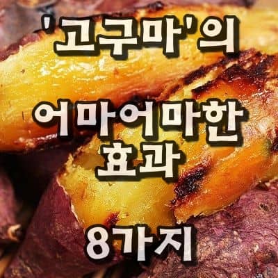 의사들이 싫어하는 ‘고구마’의 엄청난 효능 8가지 