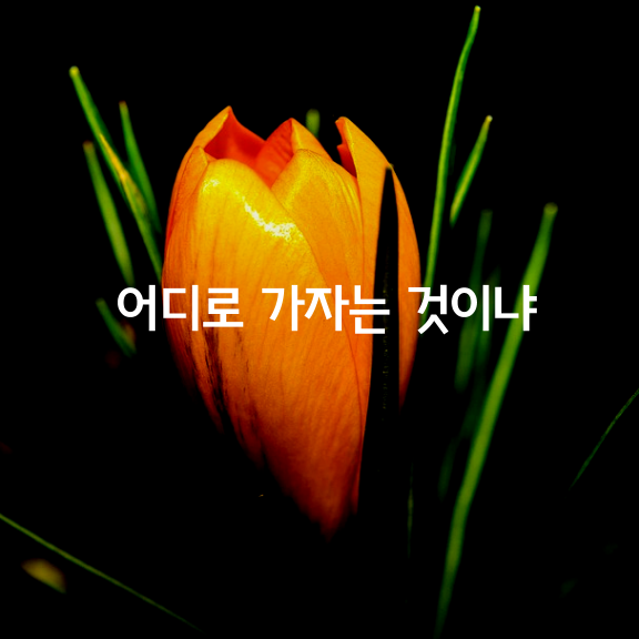 이 수많은 사람들이