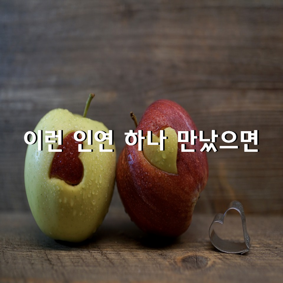 이런 인연 하나 만났으면 / 최찬원