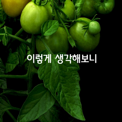 이렇게 생각해보니