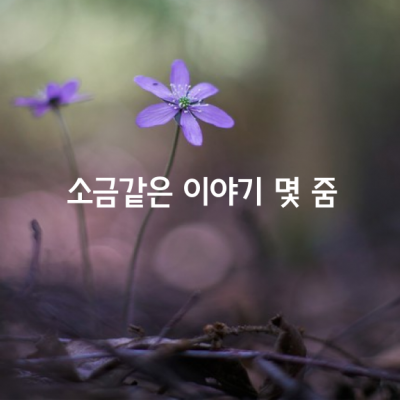 이왕이면 소금같은 이야기 몇 줌