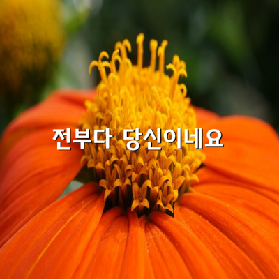 이제서야 생각이나네요.