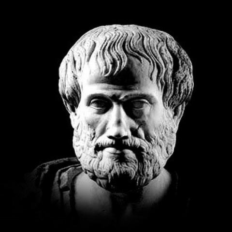 인간은 태어날 때부터 정치적 동물이다.