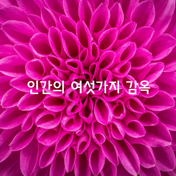 인간의 여섯가지 감옥