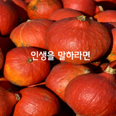 인생을 말하라면