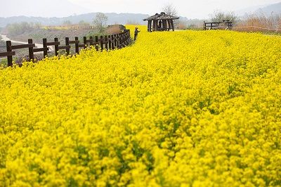 인생을 윤택하게 해주는 20가지 조언