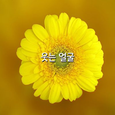 인생을 즐겁게 살아 가려면