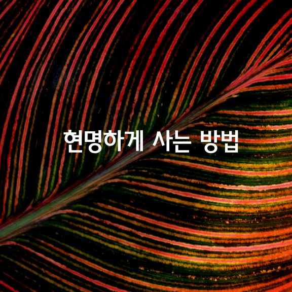 인생을 현명하게 사는 방법