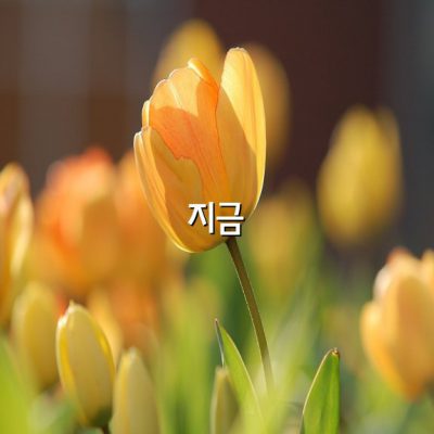 인생의 목표를