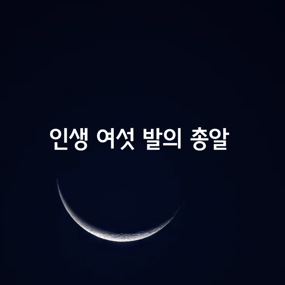 인생의 여섯 발의 총알