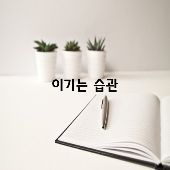 일생의 계획은