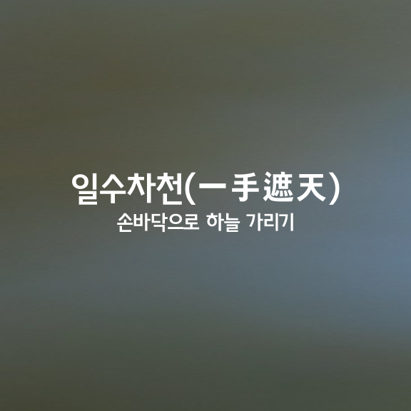 일수차천ㅣ一手遮天