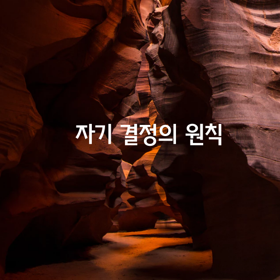 자기 결정의 원칙