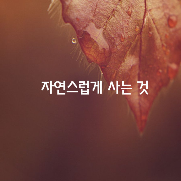 자연스럽게 사는 것이 아름답다