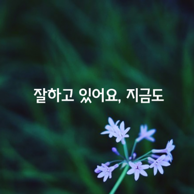 잘하고 있어요, 지금도