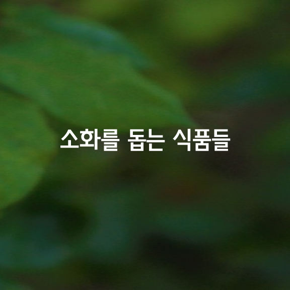 장을 깨끗하게.. 소화를 돕는 식품 5가지