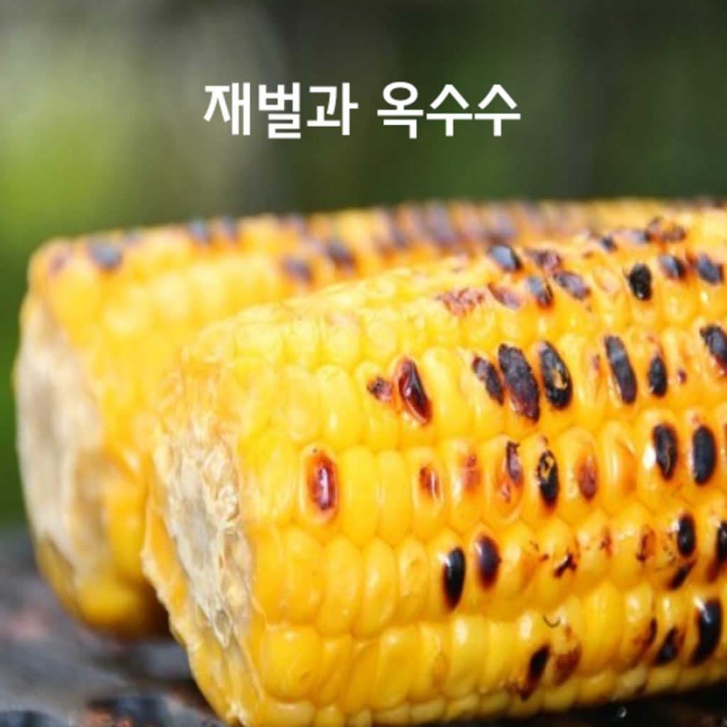 재벌과 옥수수