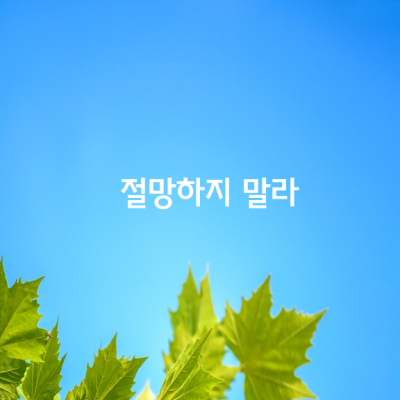 절망하지 말라.