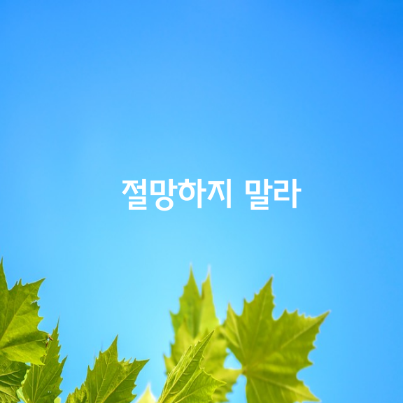 절망하지 말라.