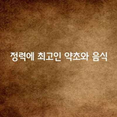 정력에 최고인 약초와 음식 55가지