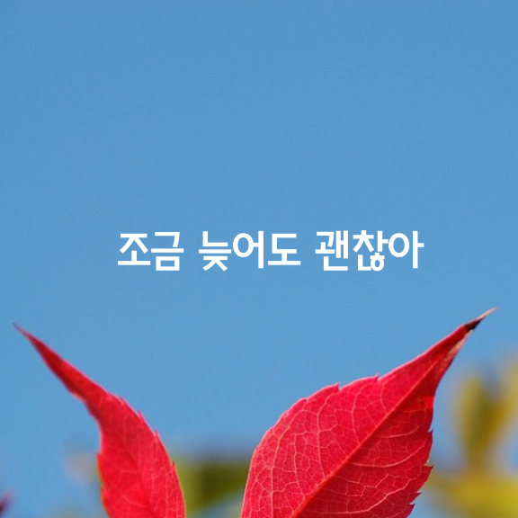 조금 늦어도 괜찮아