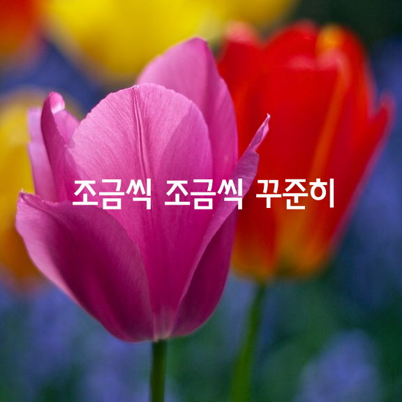 조금씩 조금씩 꾸준히