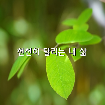 좋은 사람은 좋은 사람을 만나고 따뜻한 사람은 따뜻한 사람을 만나게 됩니다.