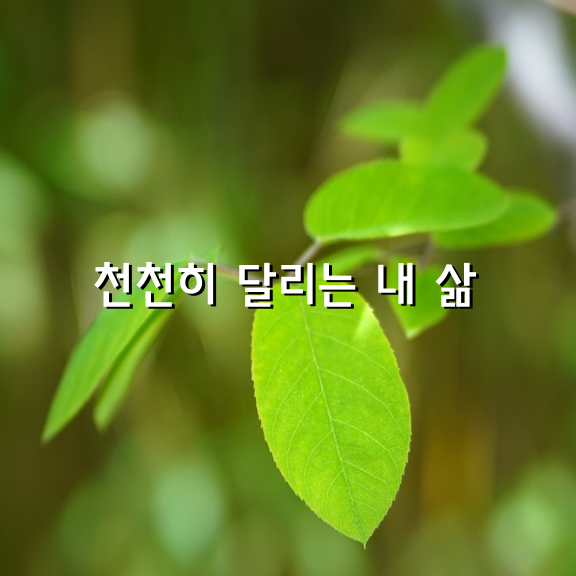 좋은 사람은 좋은 사람을 만나고 따뜻한 사람은 따뜻한 사람을 만나게 됩니다.