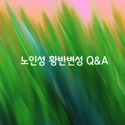 주요 실명 원인, 노인성 황반변성 Q&A